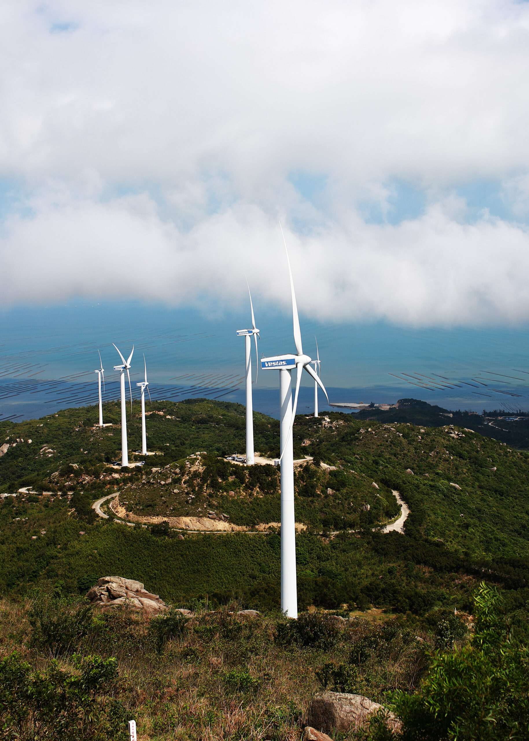 B2B Dienstleistungen | B2B Processes