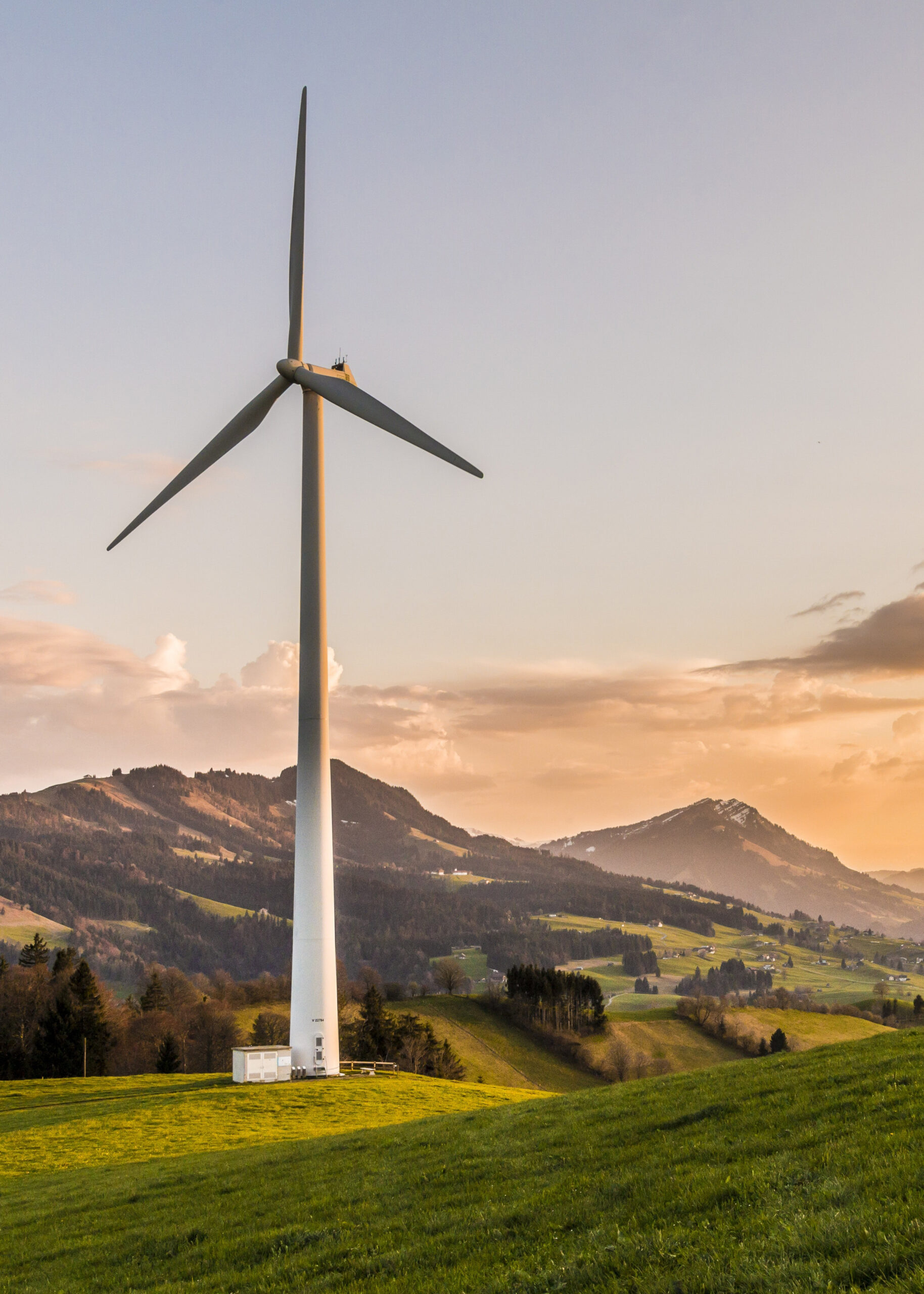 quienes somos | Who we are